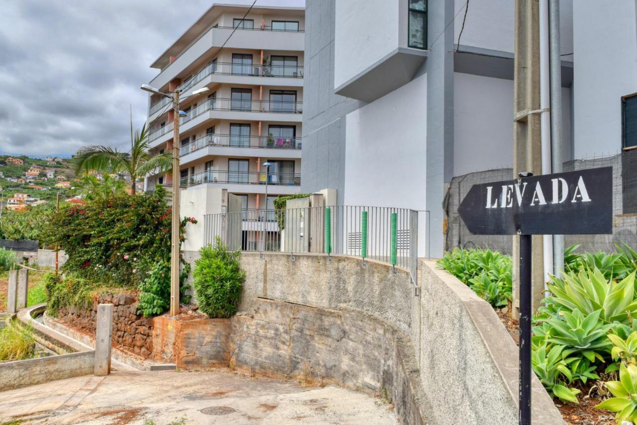 Levada Dos Piornais, A In Madeira * Funchal (Madeira)